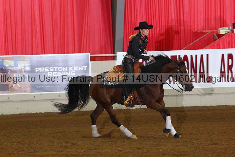 Proof 14usn_01602
