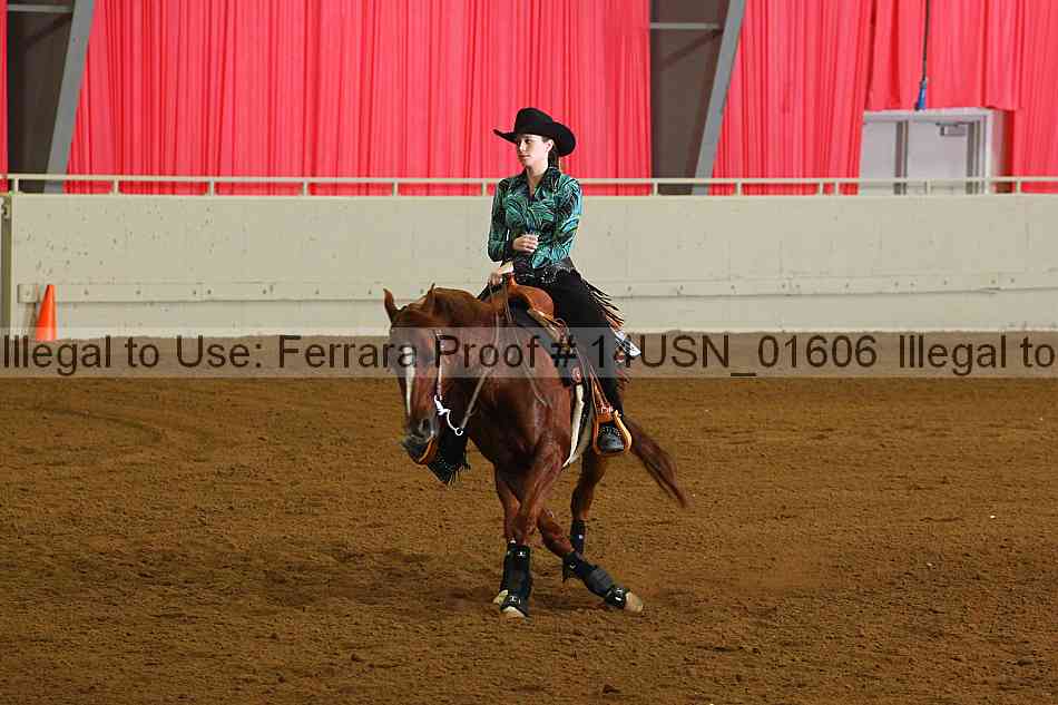 Proof 14usn_01606