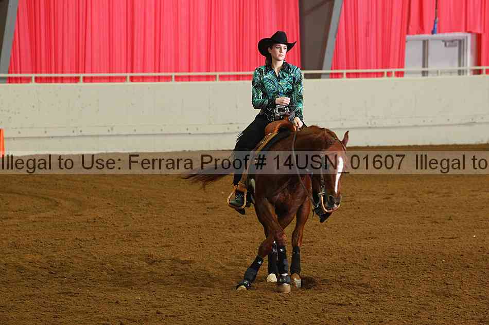 Proof 14usn_01607