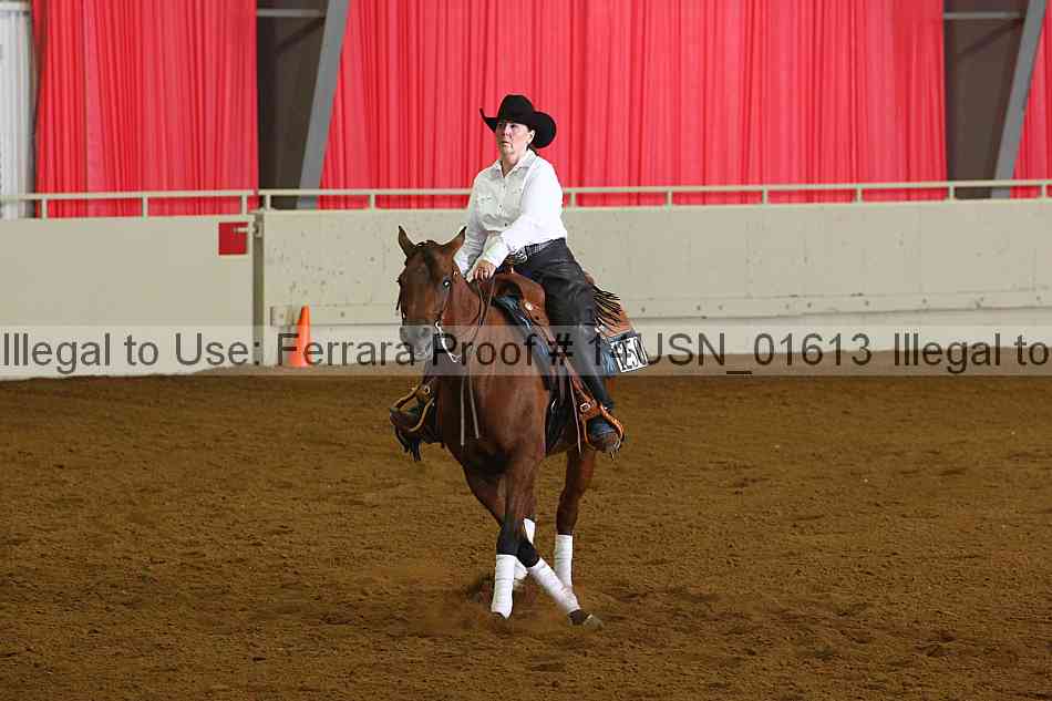Proof 14usn_01613