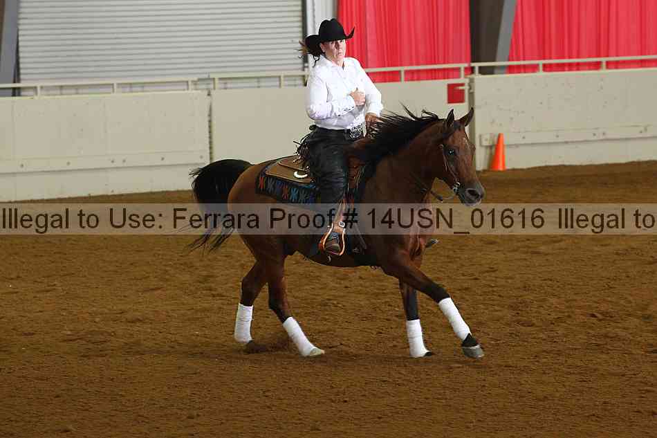 Proof 14usn_01616