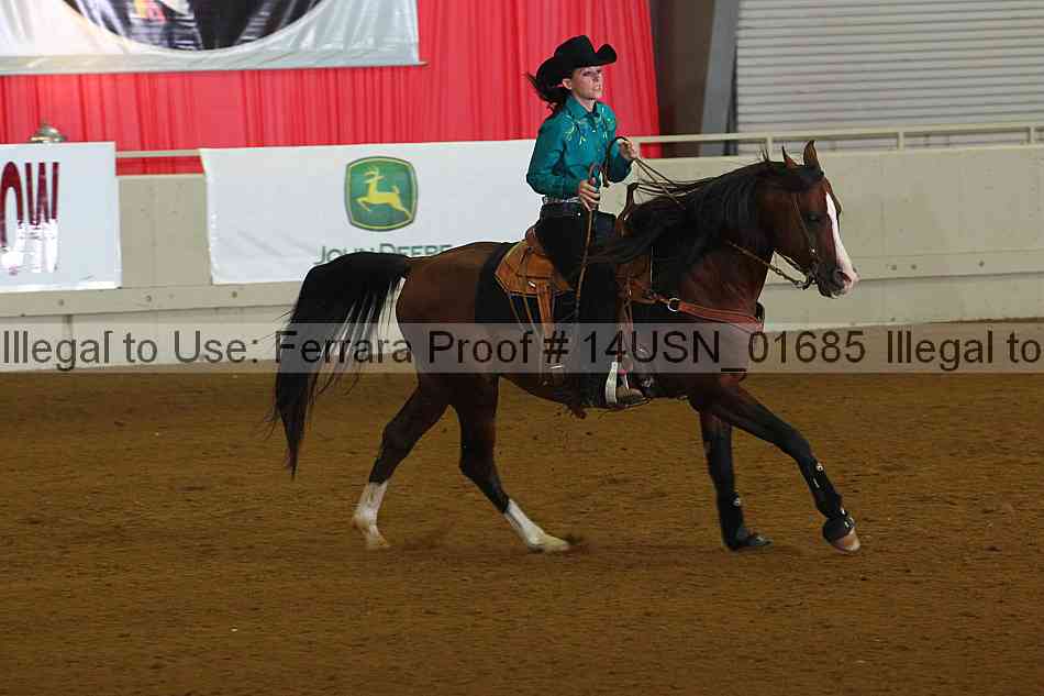 Proof 14usn_01685