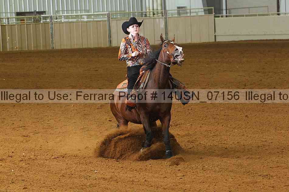 Proof 14usn_07156