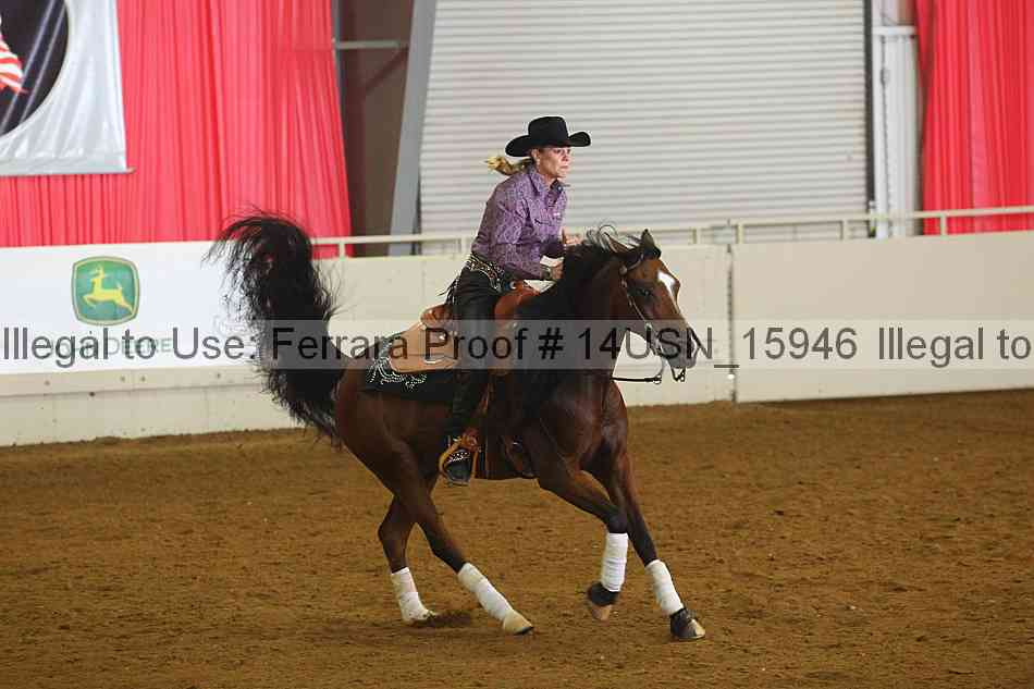 Proof 14usn_15946