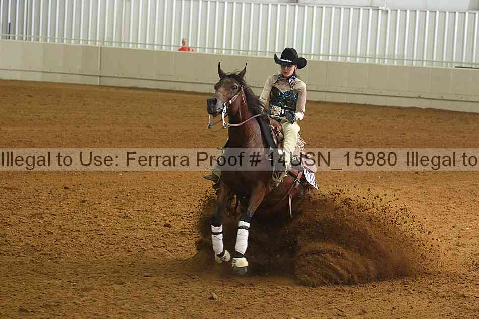 Proof 14usn_15980