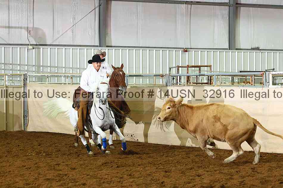 Proof 14usn_32916