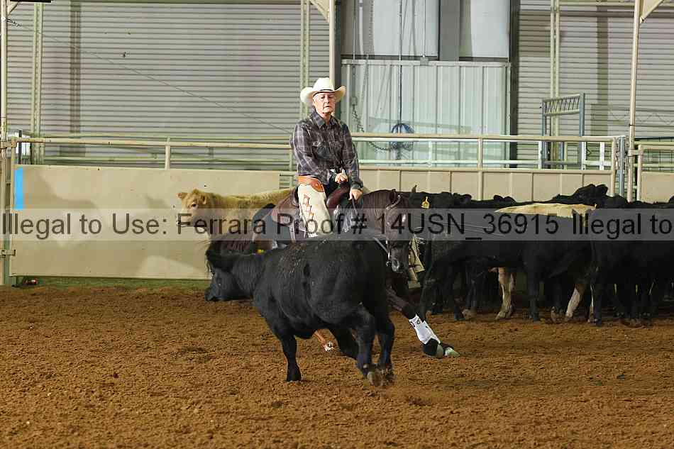 Proof 14usn_36915
