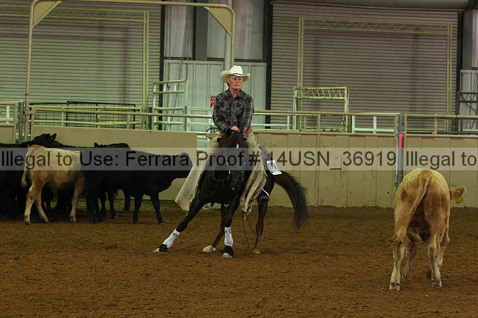 Proof 14usn_36919