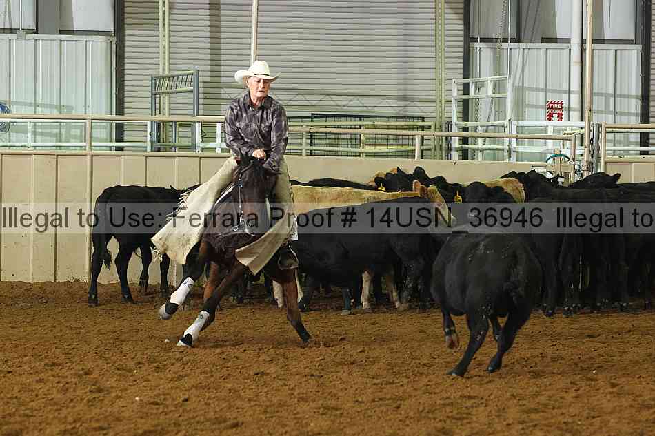 Proof 14usn_36946
