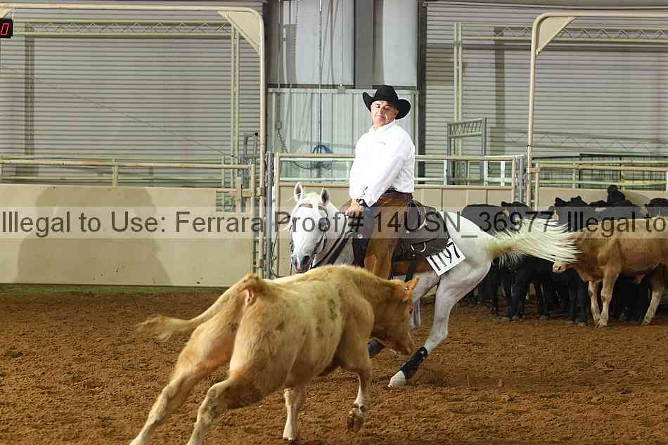 Proof 14usn_36977