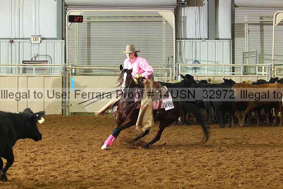 Proof 14usn_32972