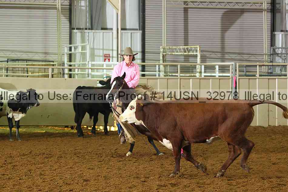 Proof 14usn_32978