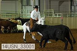 14usn_33001 proof