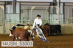 14usn_33003 proof