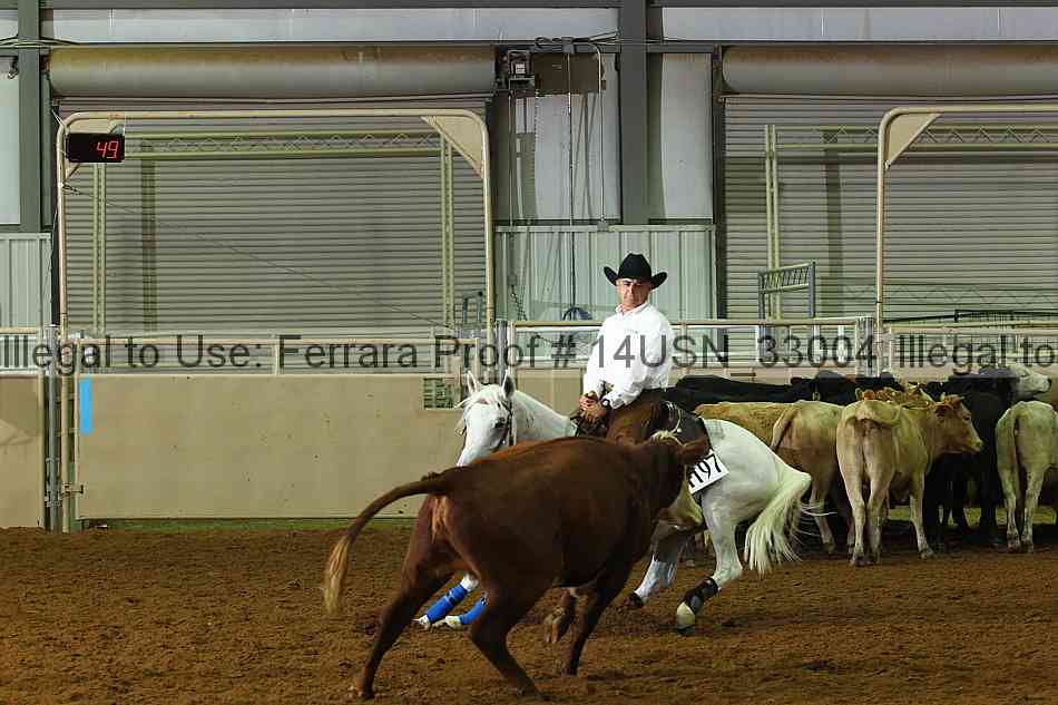 Proof 14usn_33004