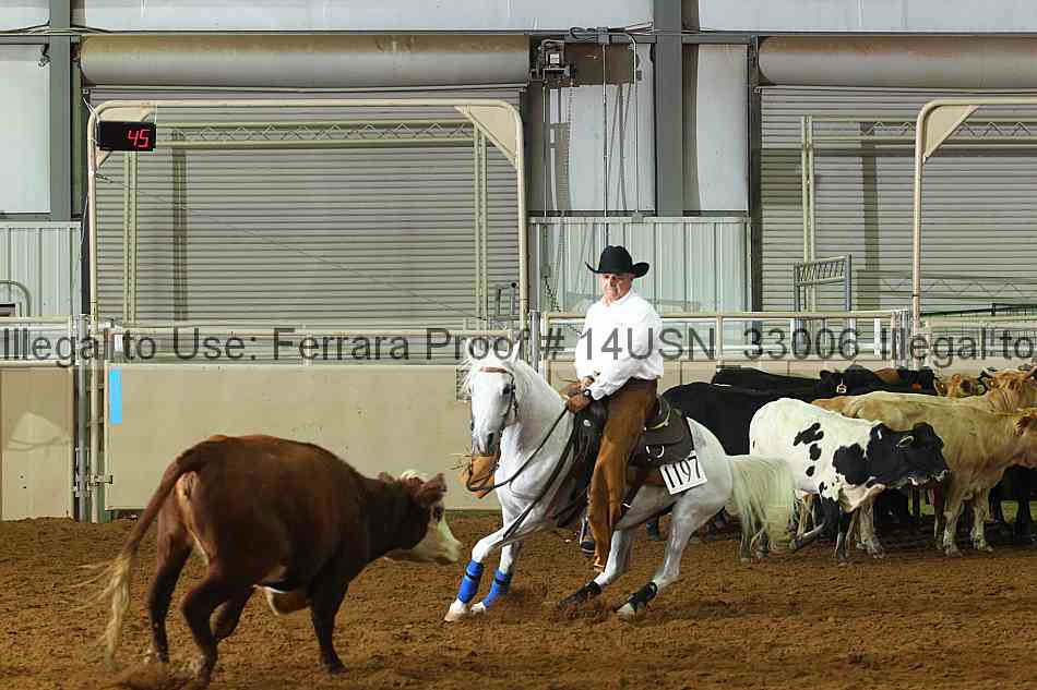 Proof 14usn_33006