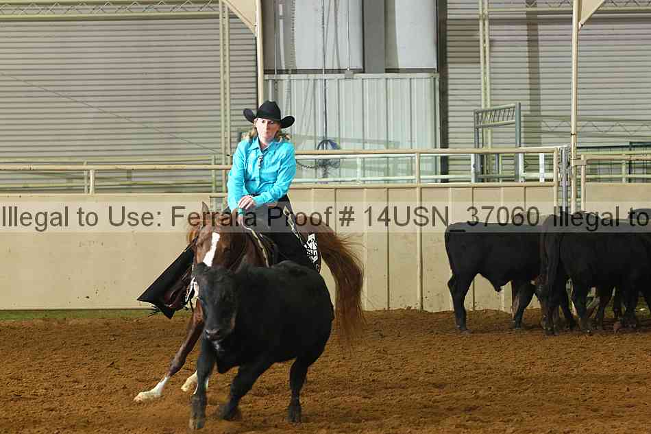 Proof 14usn_37060