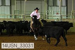14usn_33031 proof
