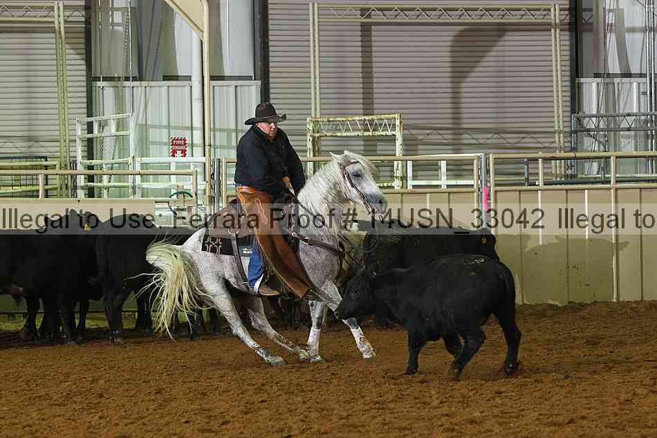 Proof 14usn_33042
