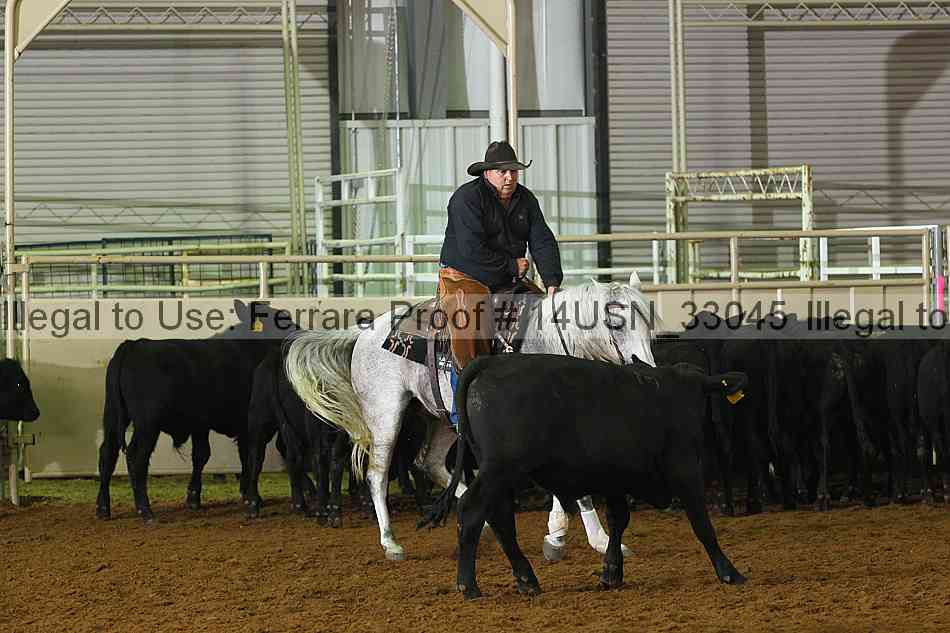 Proof 14usn_33045