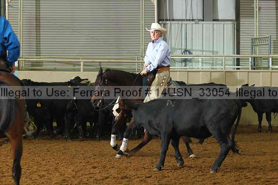 Proof 14usn_33054