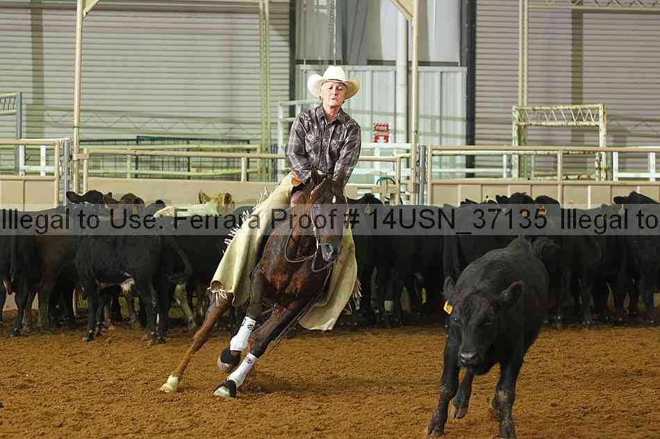 Proof 14usn_37135