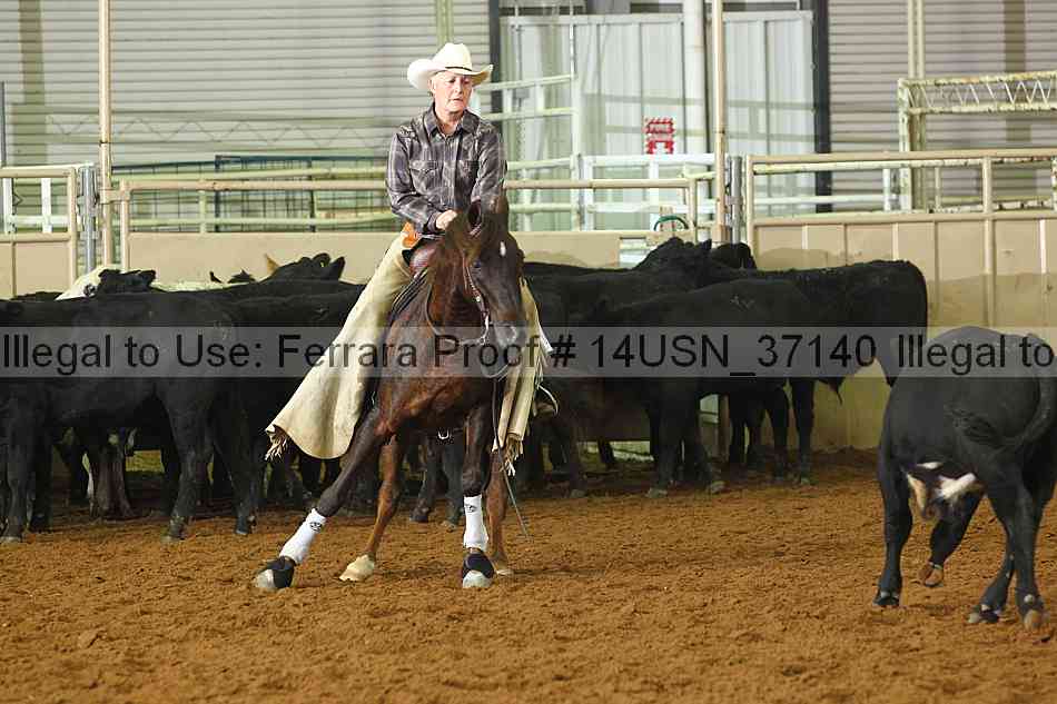 Proof 14usn_37140