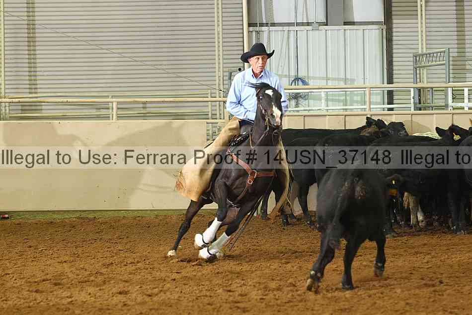 Proof 14usn_37148