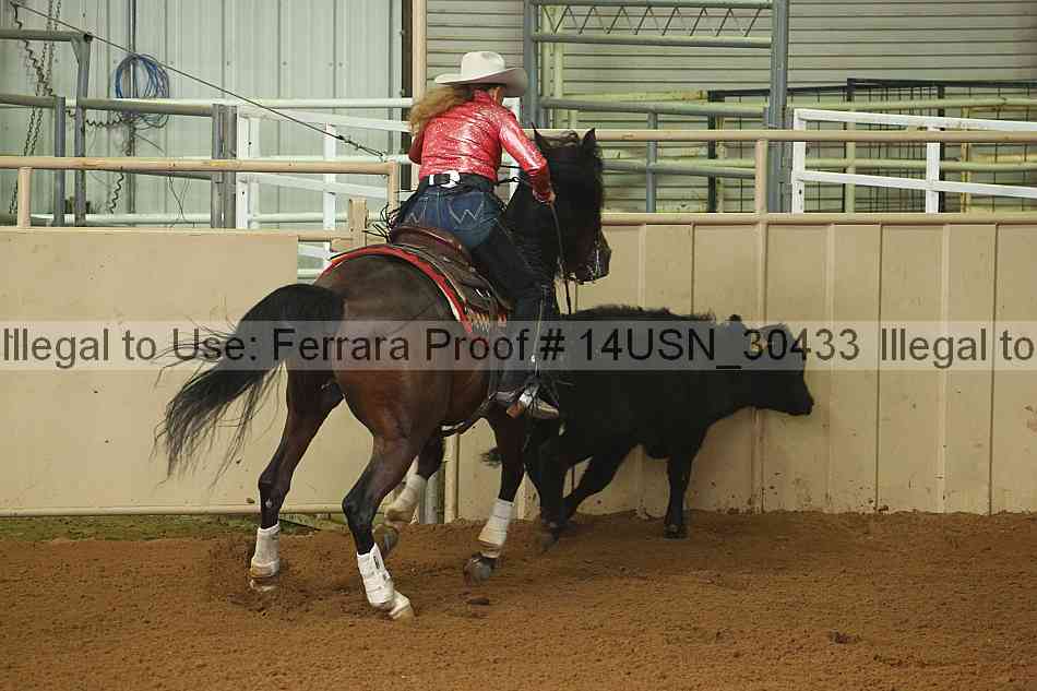 Proof 14usn_30433