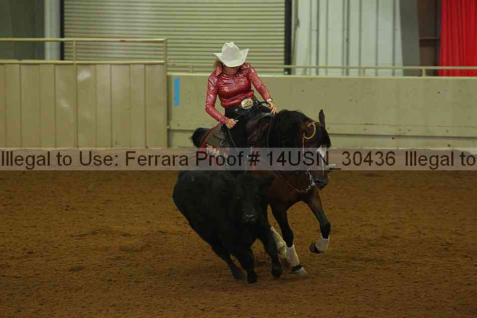 Proof 14usn_30436