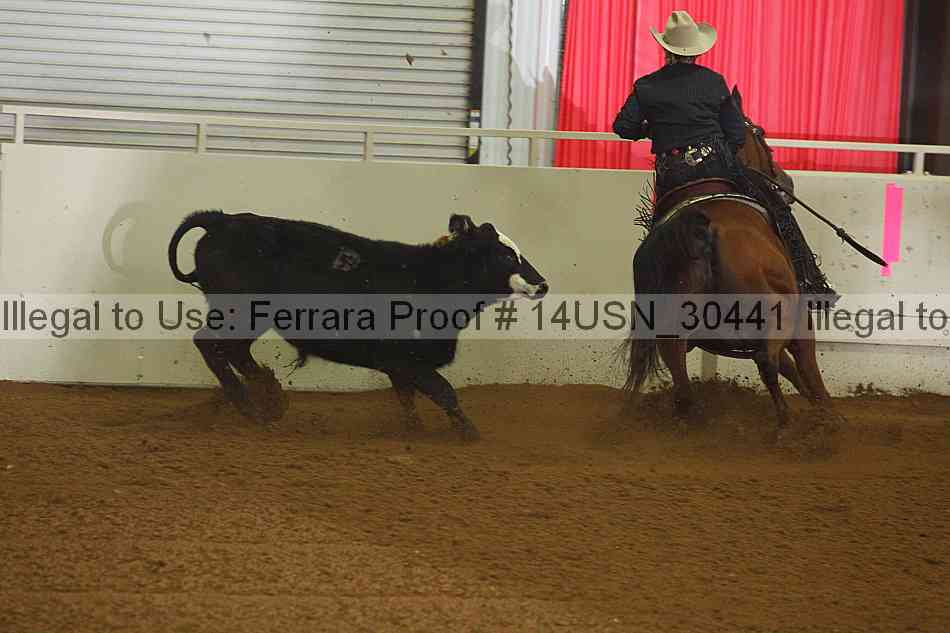 Proof 14usn_30441