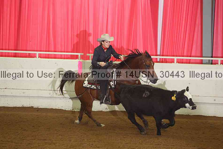 Proof 14usn_30443