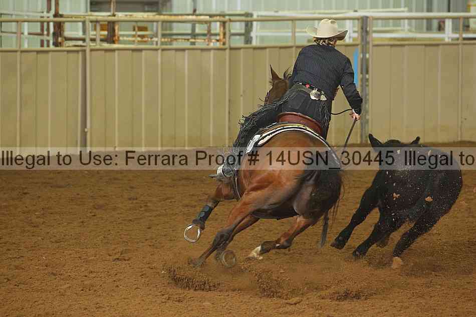 Proof 14usn_30445