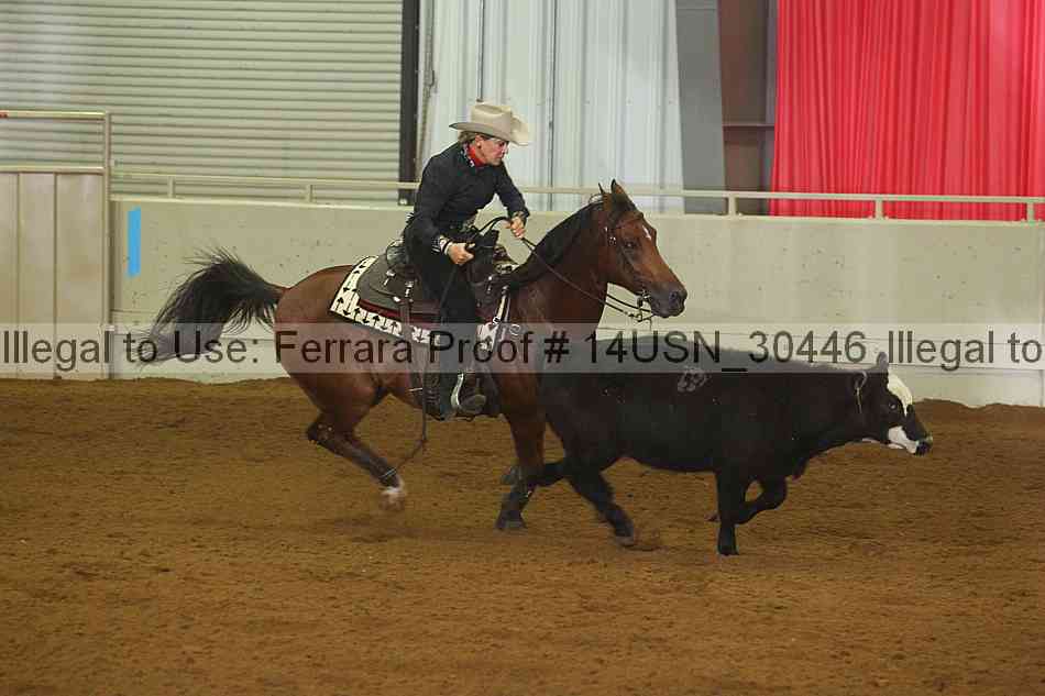 Proof 14usn_30446