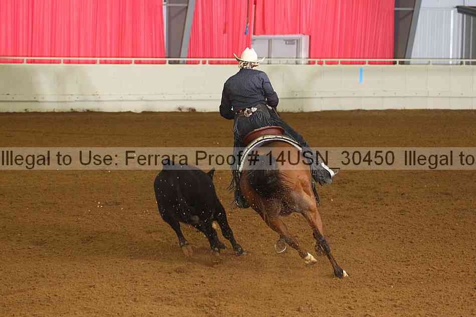 Proof 14usn_30450