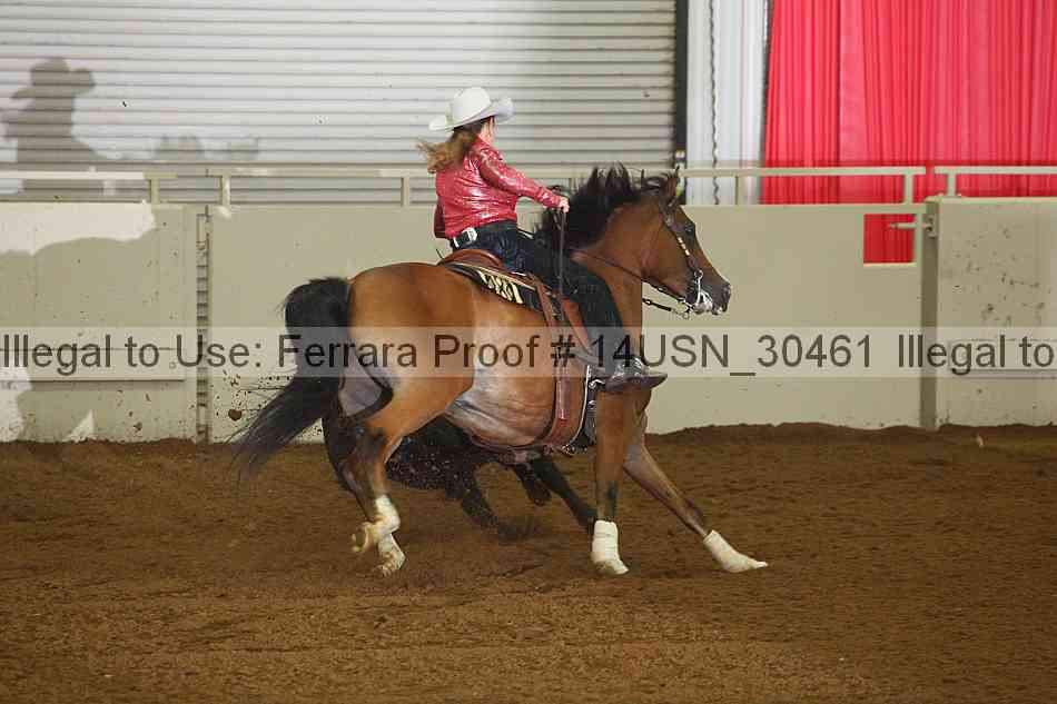 Proof 14usn_30461