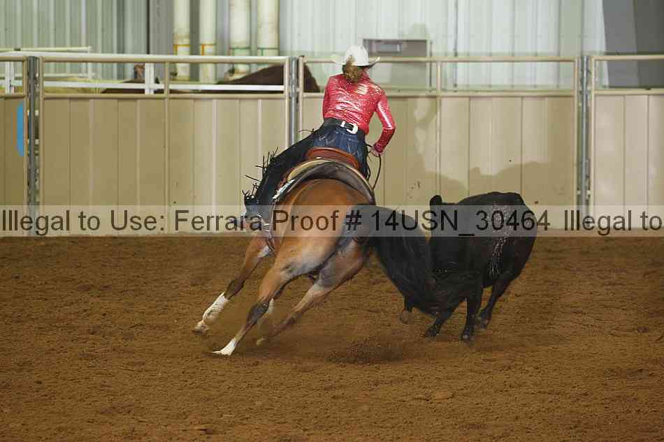Proof 14usn_30464