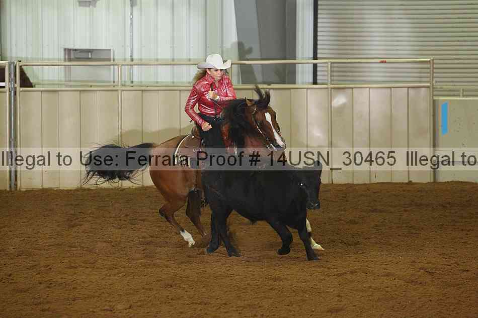 Proof 14usn_30465