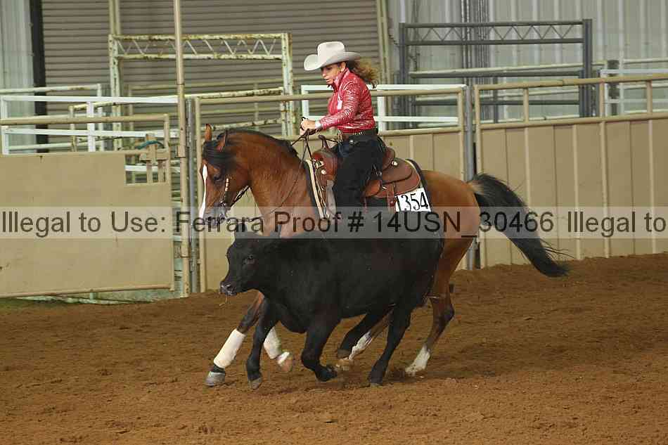 Proof 14usn_30466