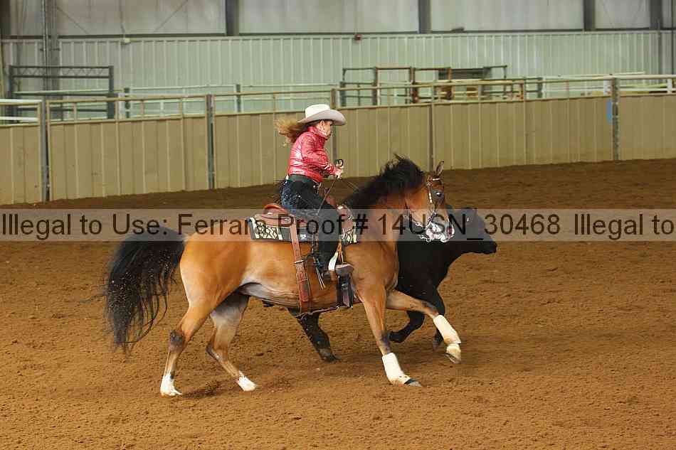 Proof 14usn_30468