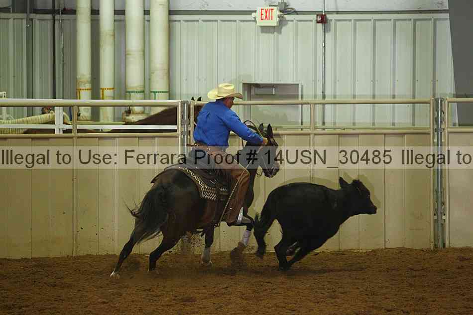 Proof 14usn_30485
