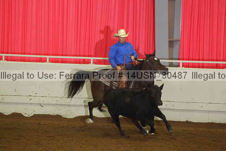 Proof 14usn_30487
