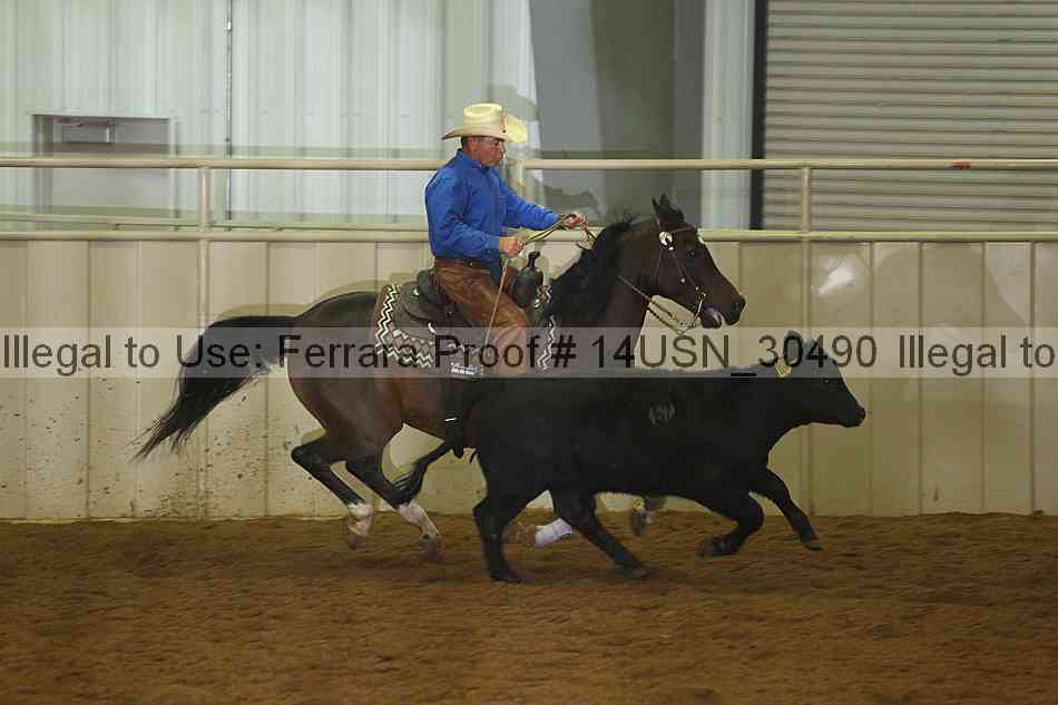 Proof 14usn_30490
