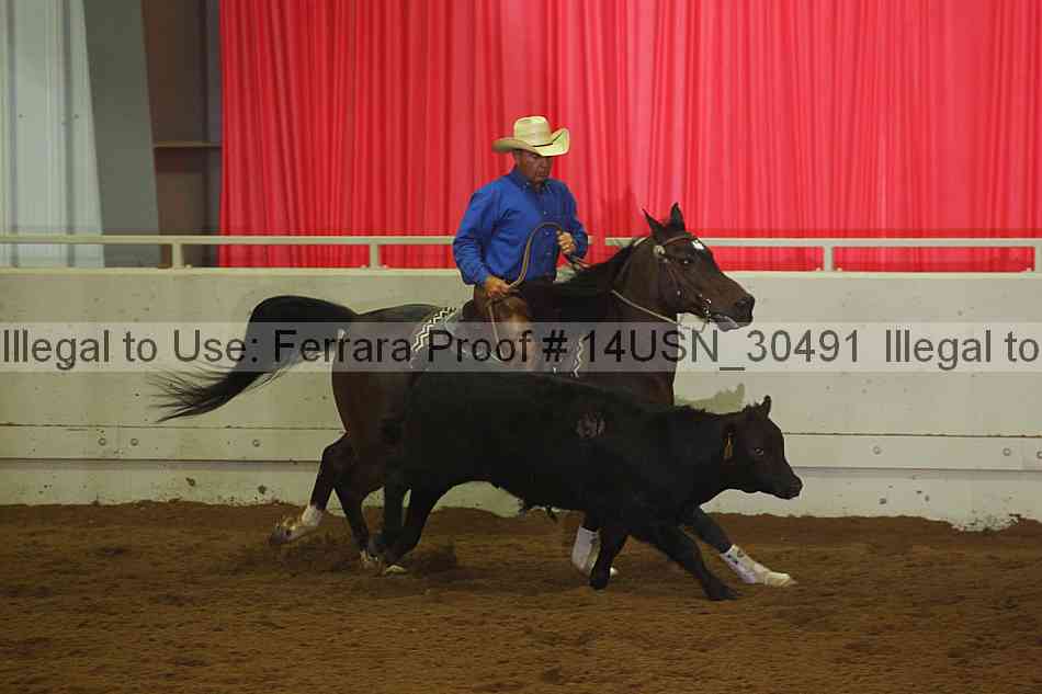Proof 14usn_30491