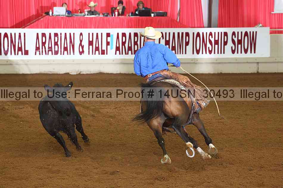 Proof 14usn_30493