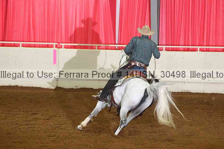 Proof 14usn_30498