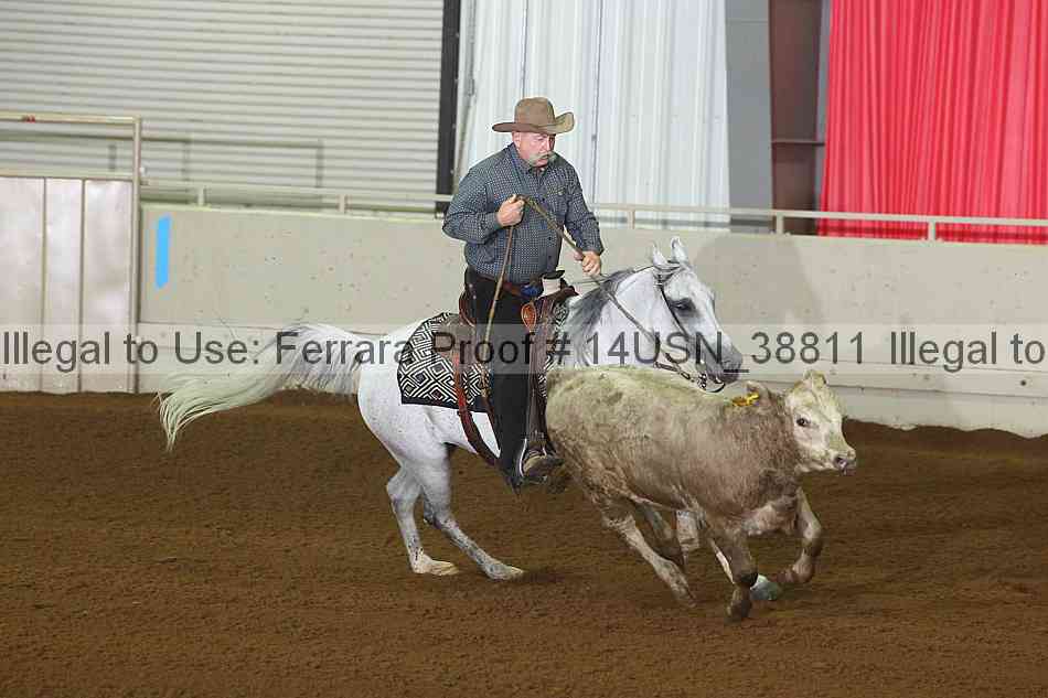 Proof 14usn_38811
