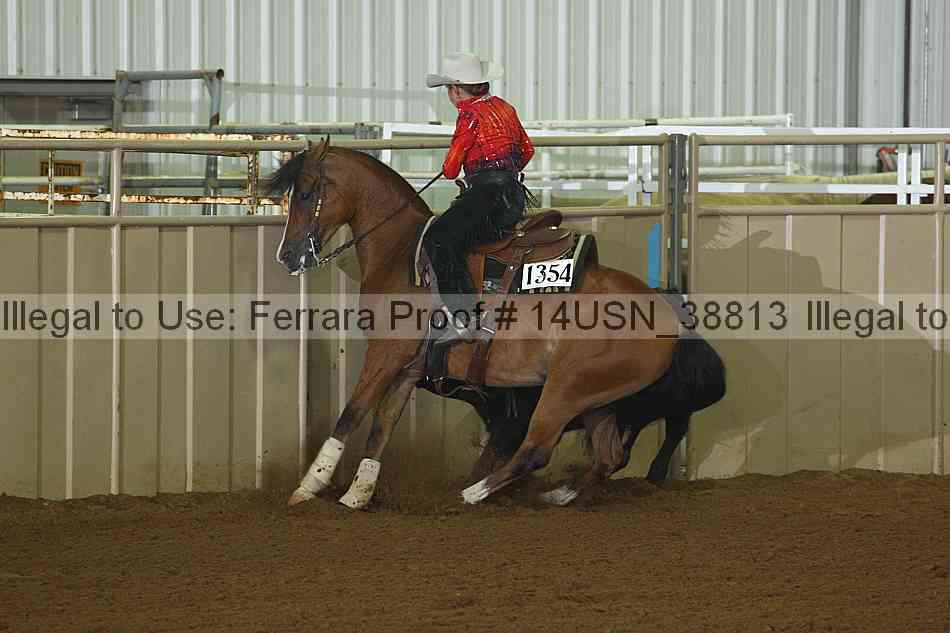 Proof 14usn_38813