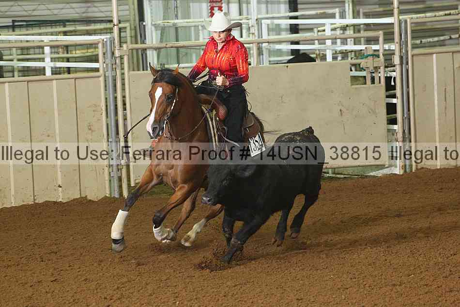 Proof 14usn_38815
