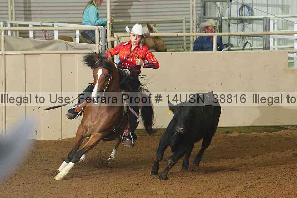 Proof 14usn_38816
